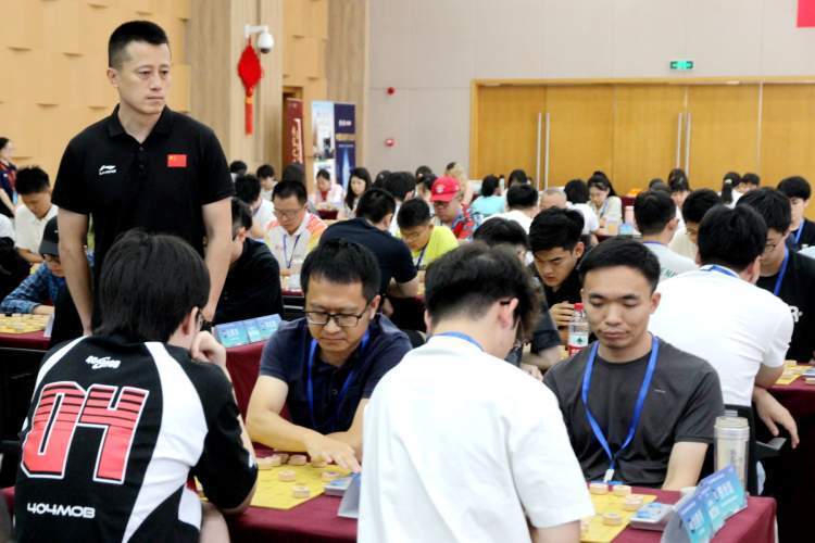 tQ, 名棋手报名, bt