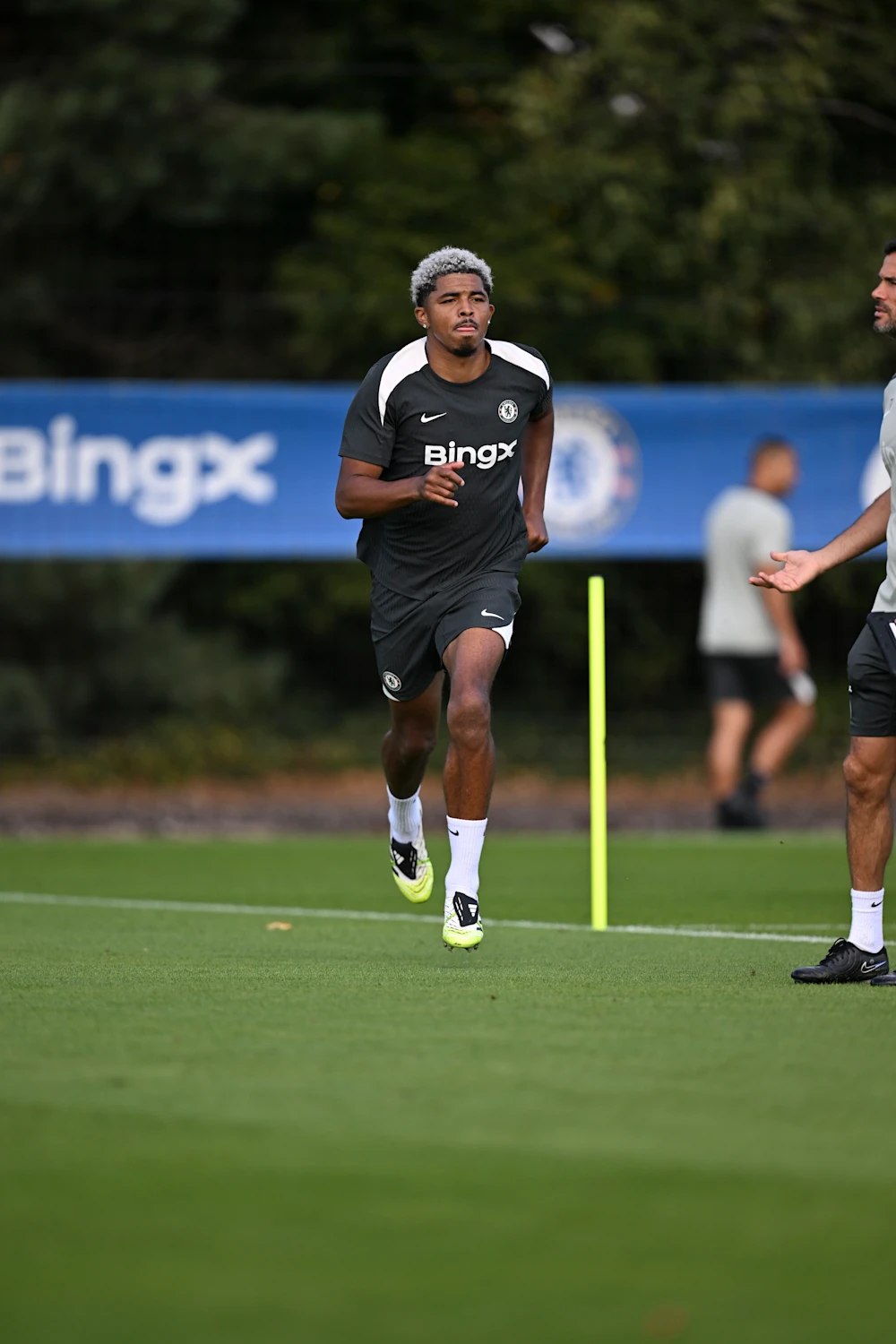 amp, 查洛巴以及, https